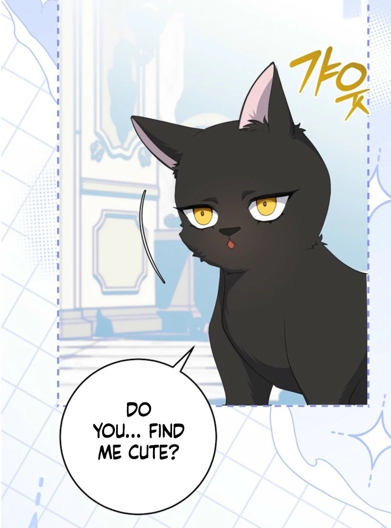 ch 17 27