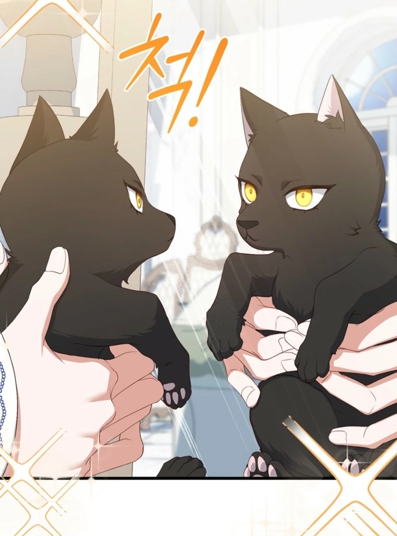 ch 17 31