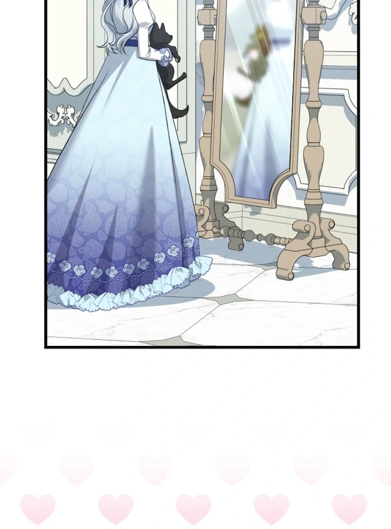ch 17 33