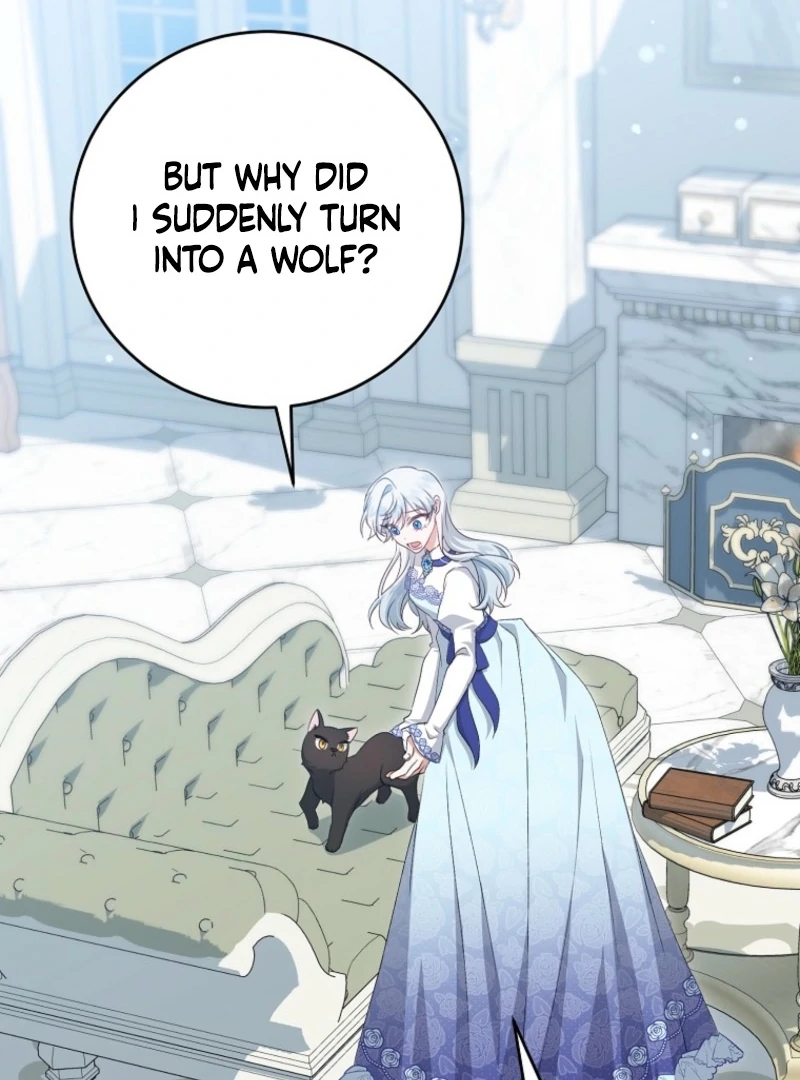 ch 17 36