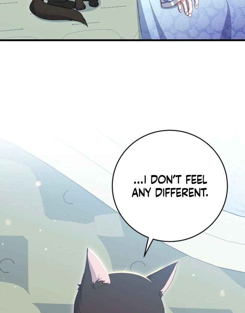 ch 17 39
