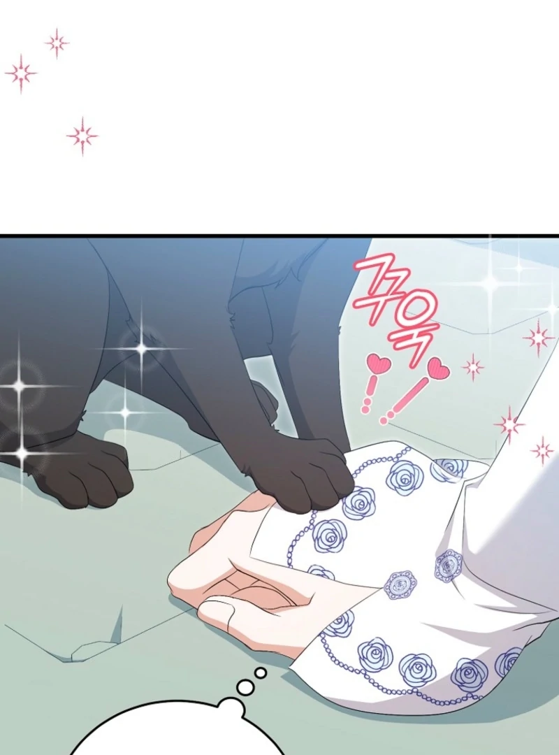 ch 17 48