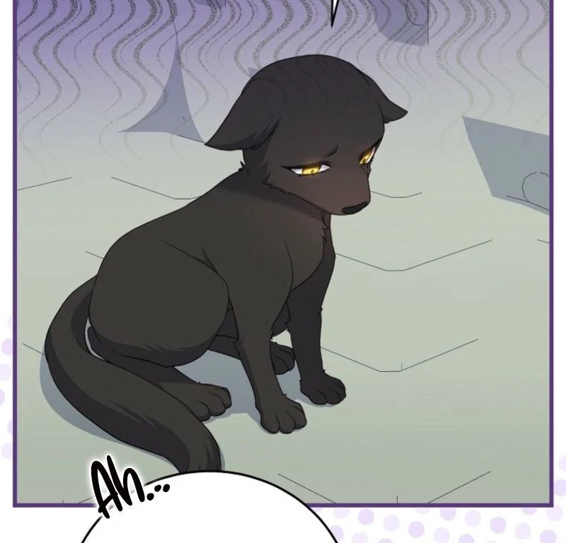 ch 17 53