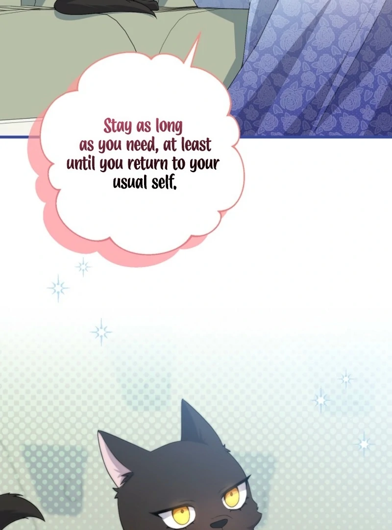 ch 17 56
