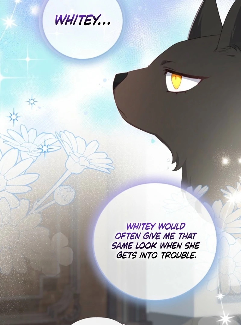 ch 17 8