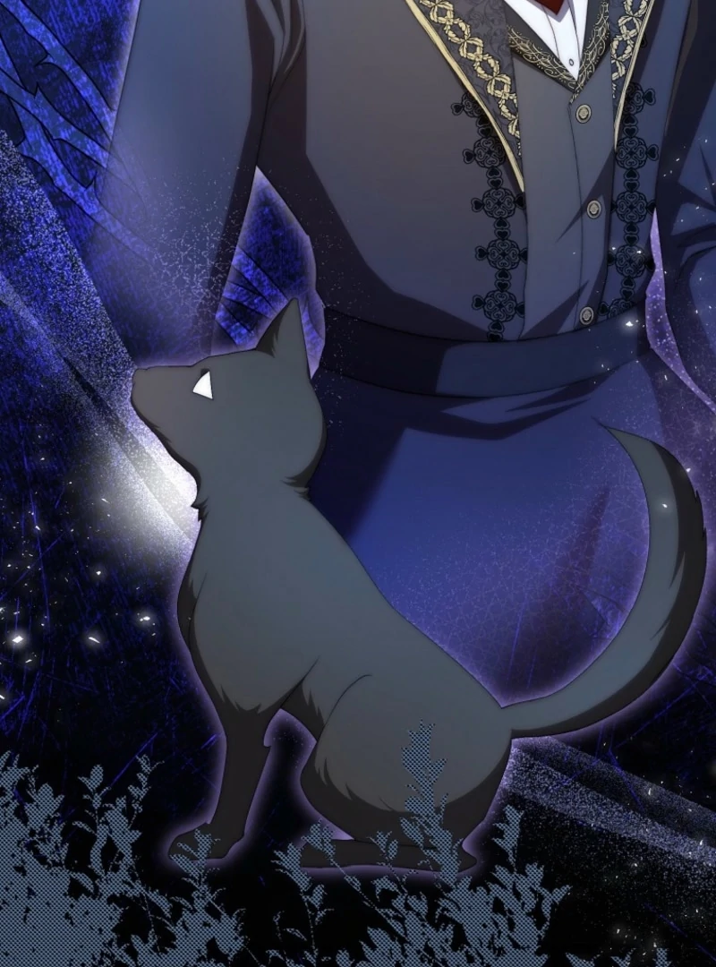 ch 17 87