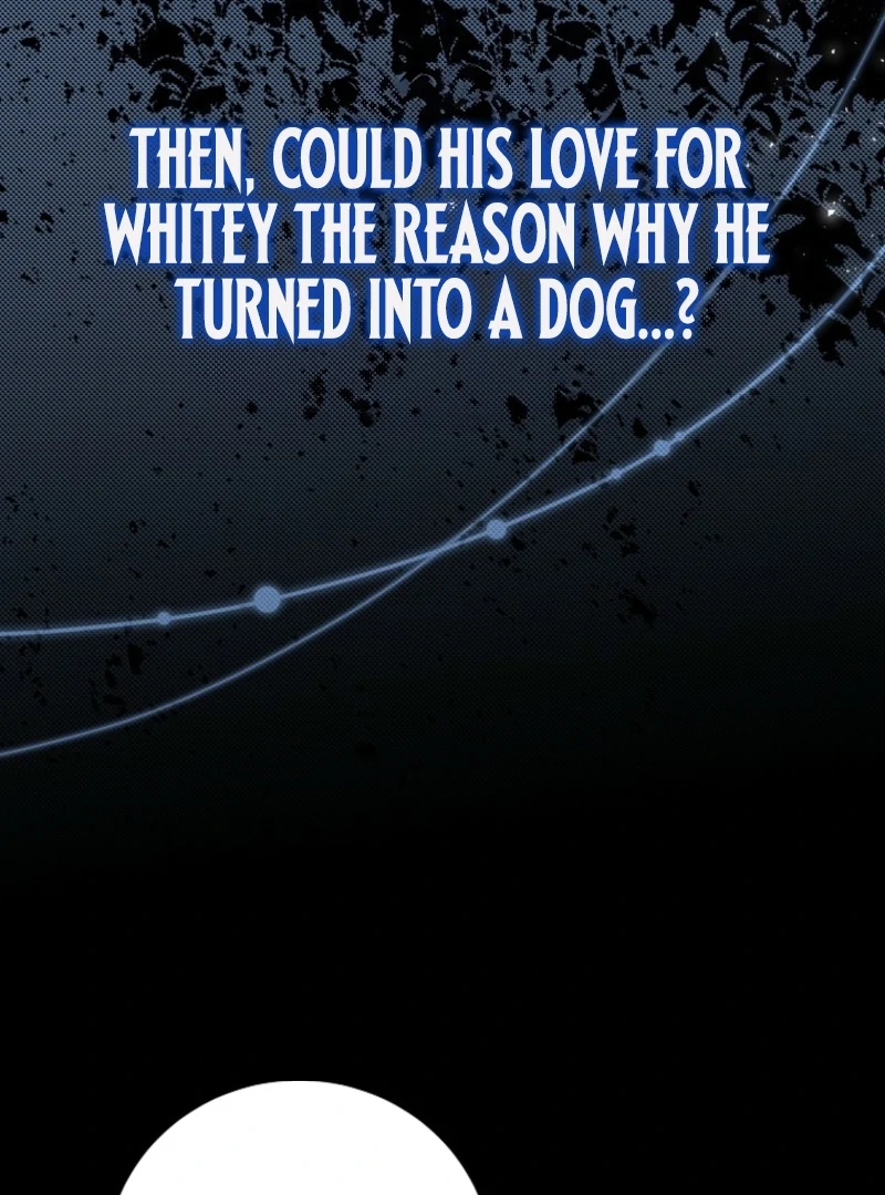 ch 17 88
