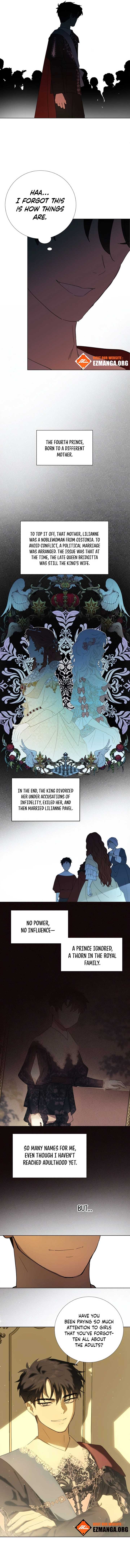 ch 5 6
