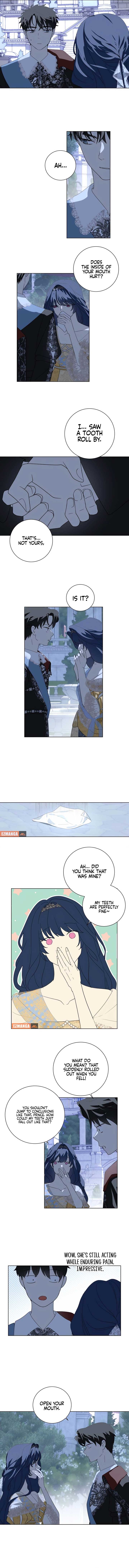 ch 6 4