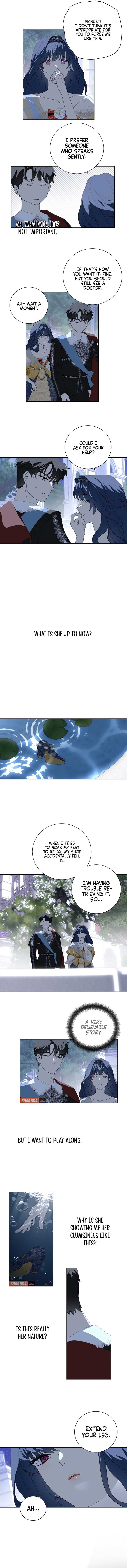 ch 6 5