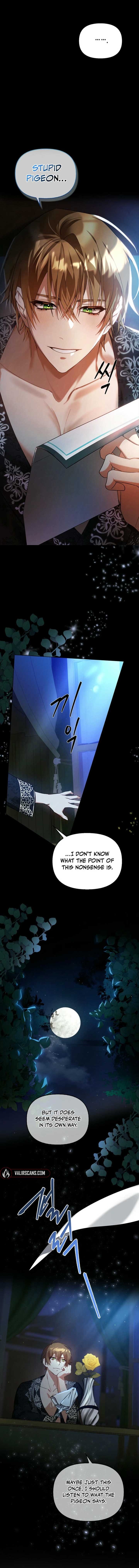 ch 3 21