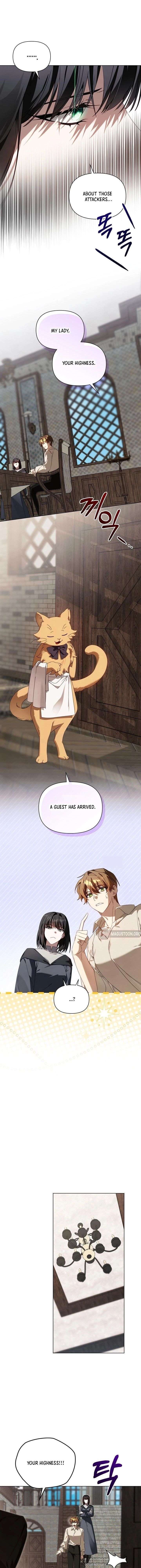 ch 43 3