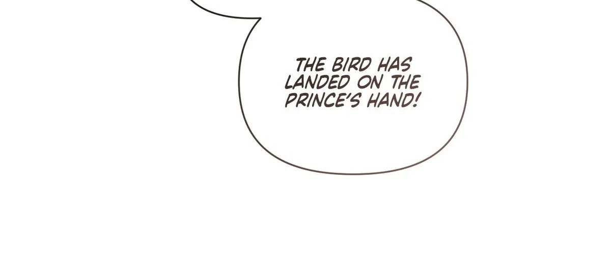 To the Witch Who Forgot the Birds Chapter 49 442 a09dd11414d3