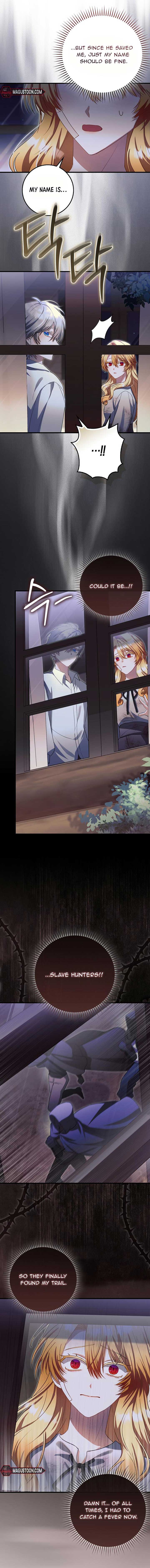ch 16 5
