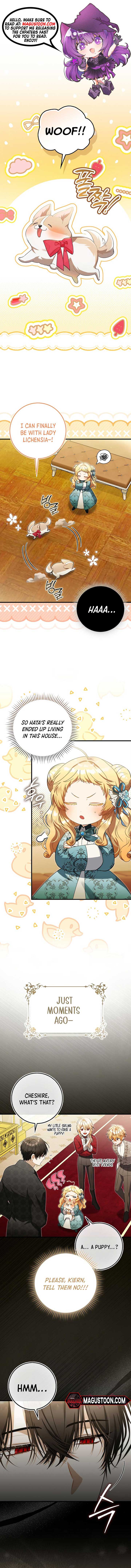 ch 18 1