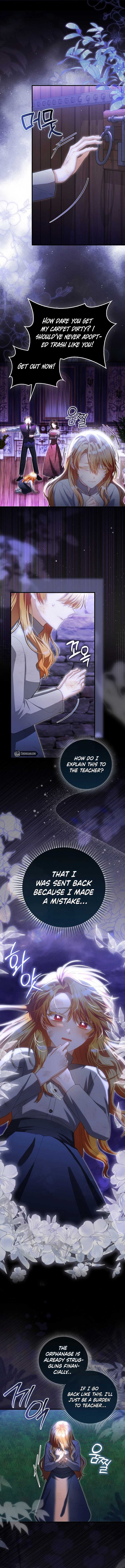 ch 23 5