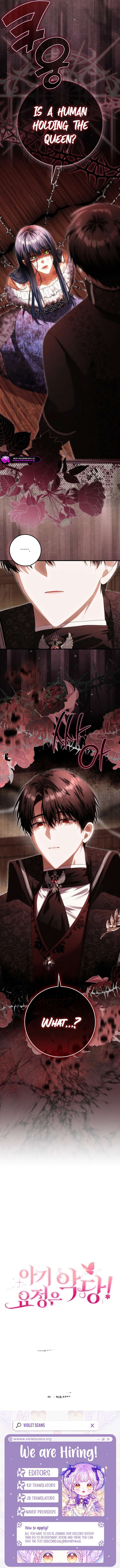 ch 51 17
