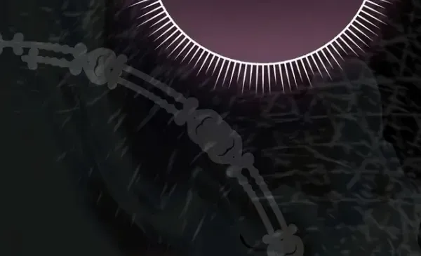 The Baby Fairy is a Villain Chapter 62 308 13