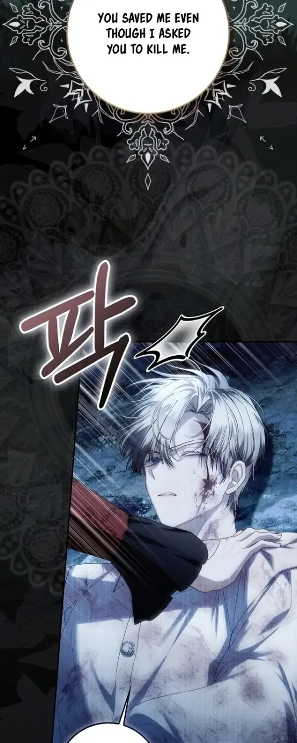 The Baby Fairy is a Villain Chapter 62 311 16