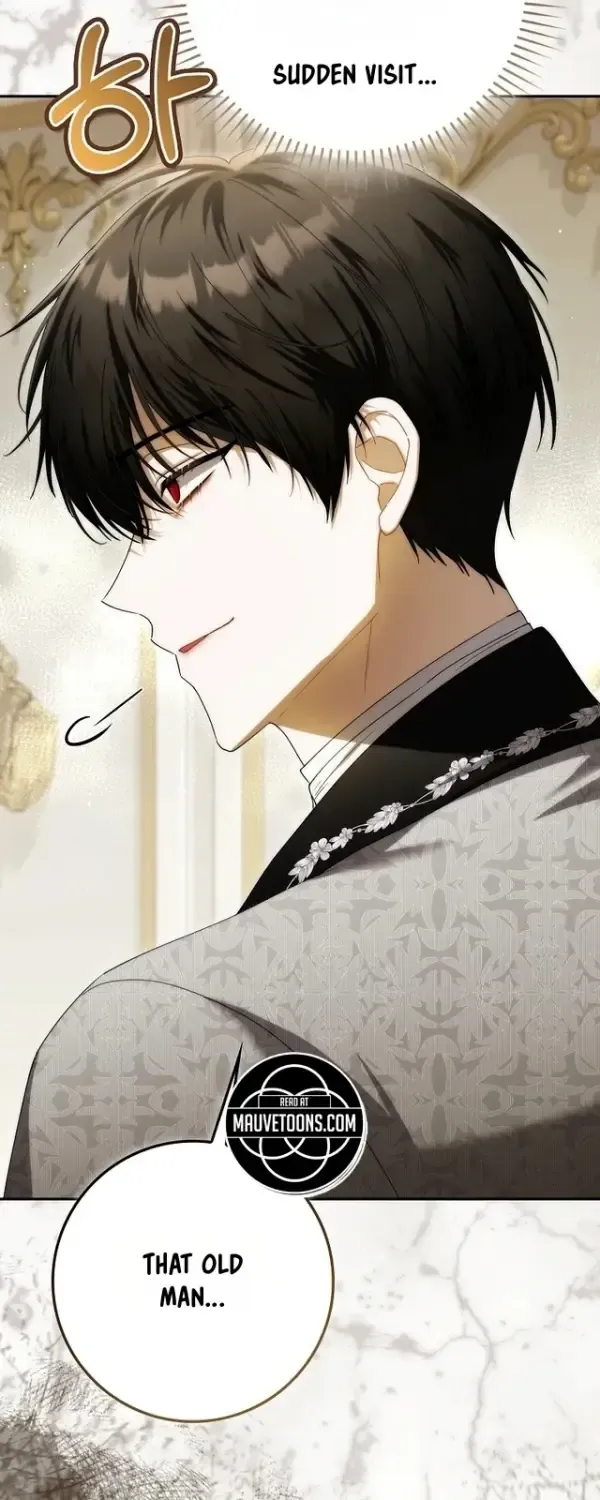 The Baby Fairy is a Villain Chapter 62 385 90