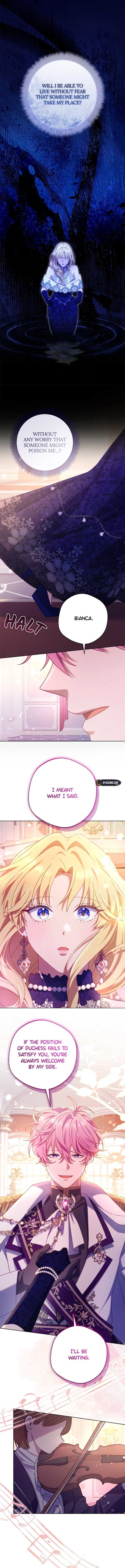 ch 17 6