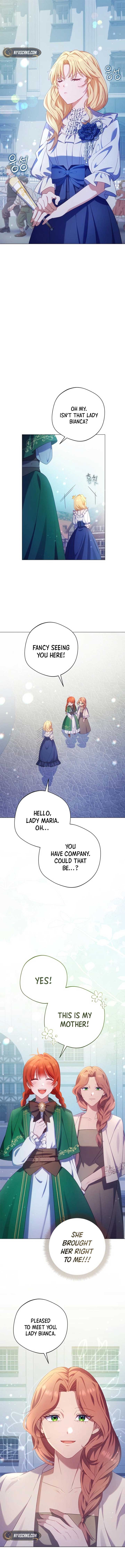 ch 19 15