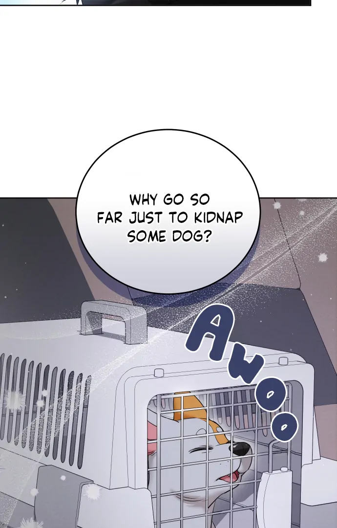 ch 12 51