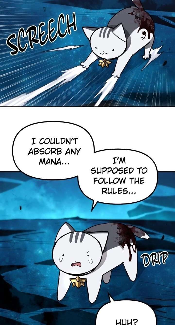 ch 50 13