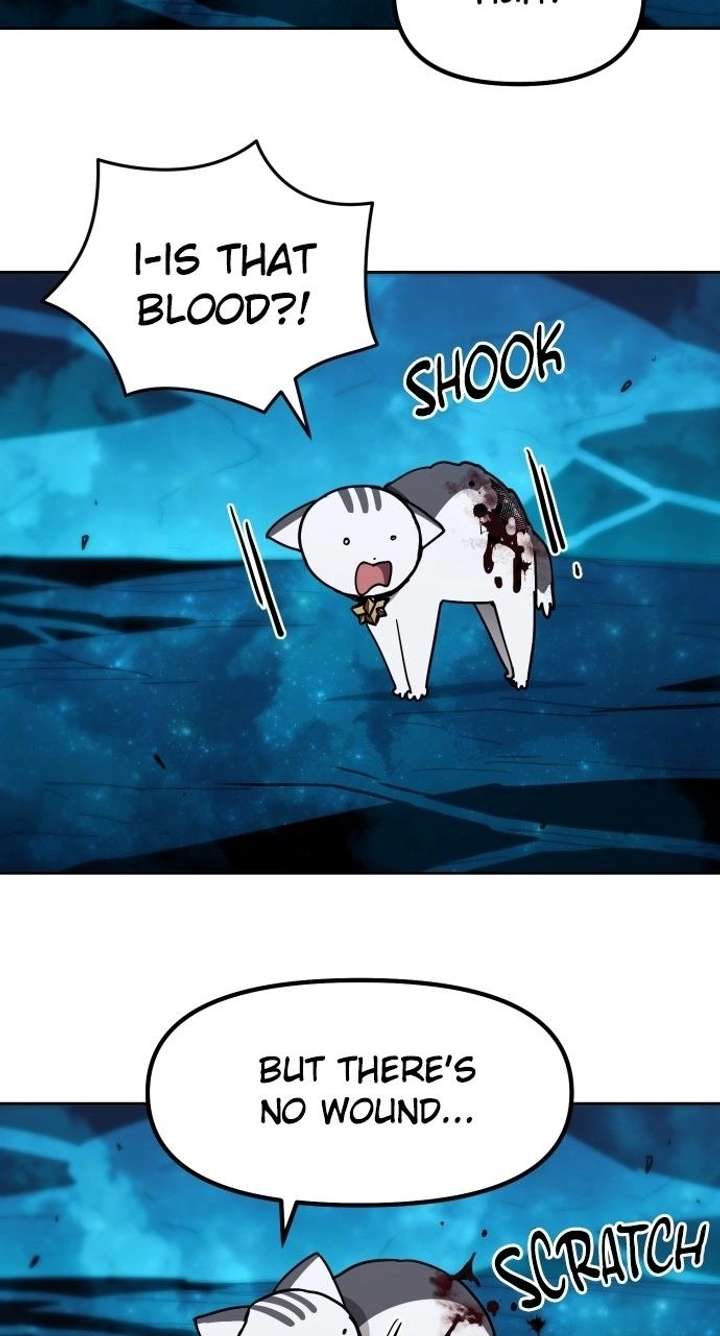 ch 50 14