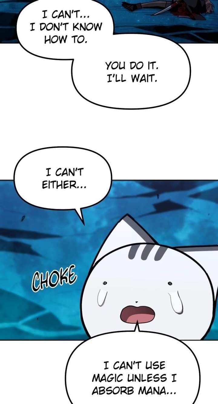 ch 50 19