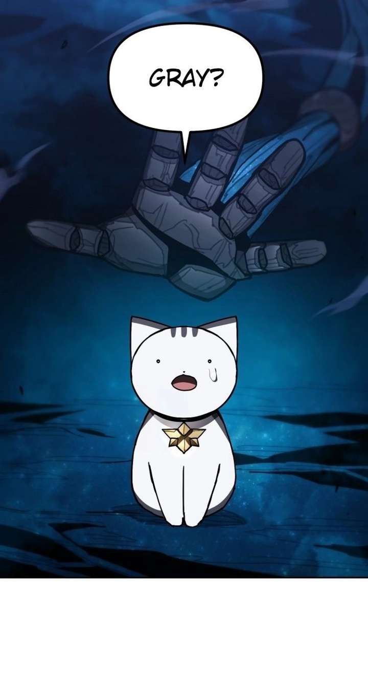 ch 50 23