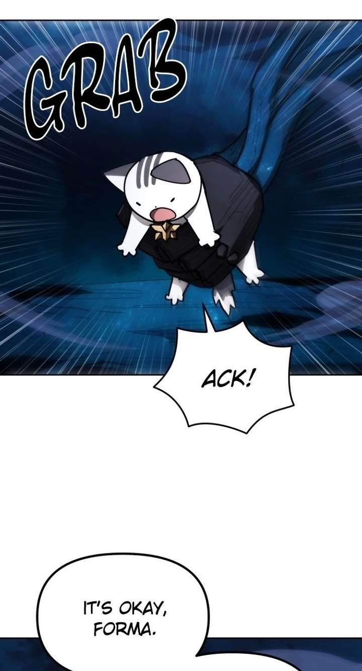 ch 50 24