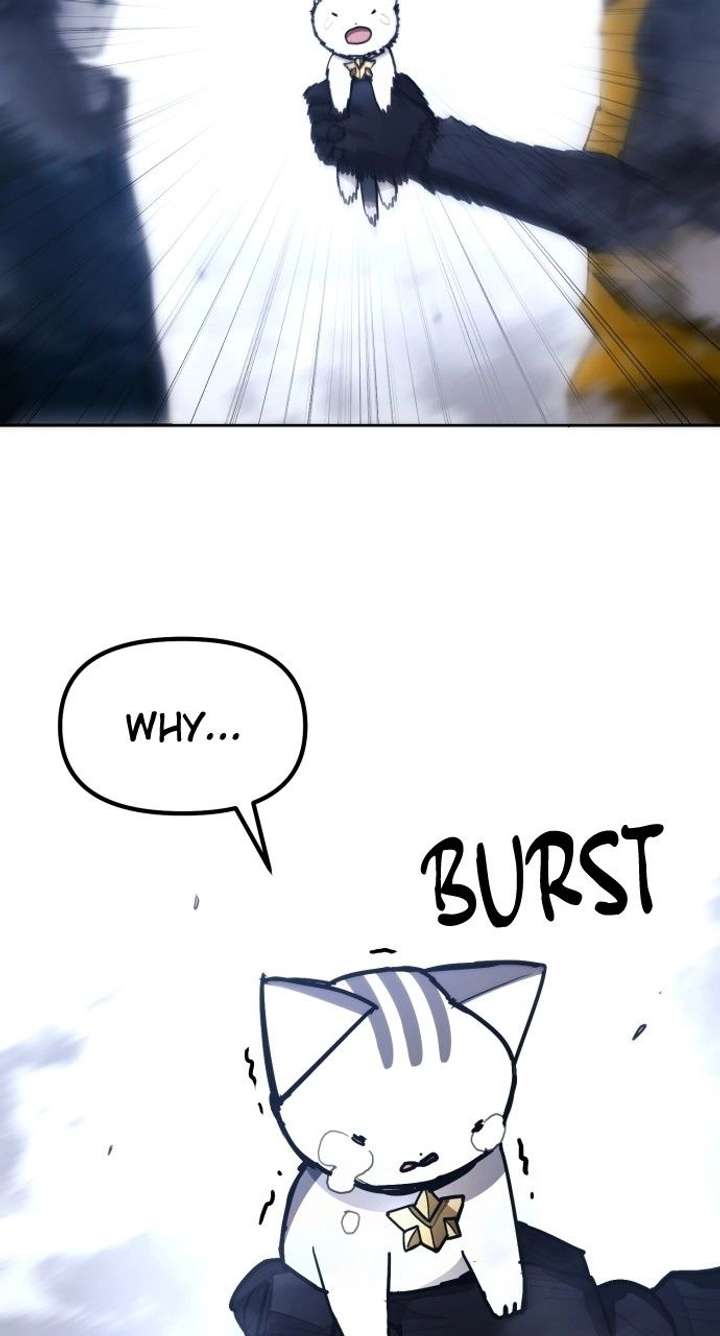 ch 50 45