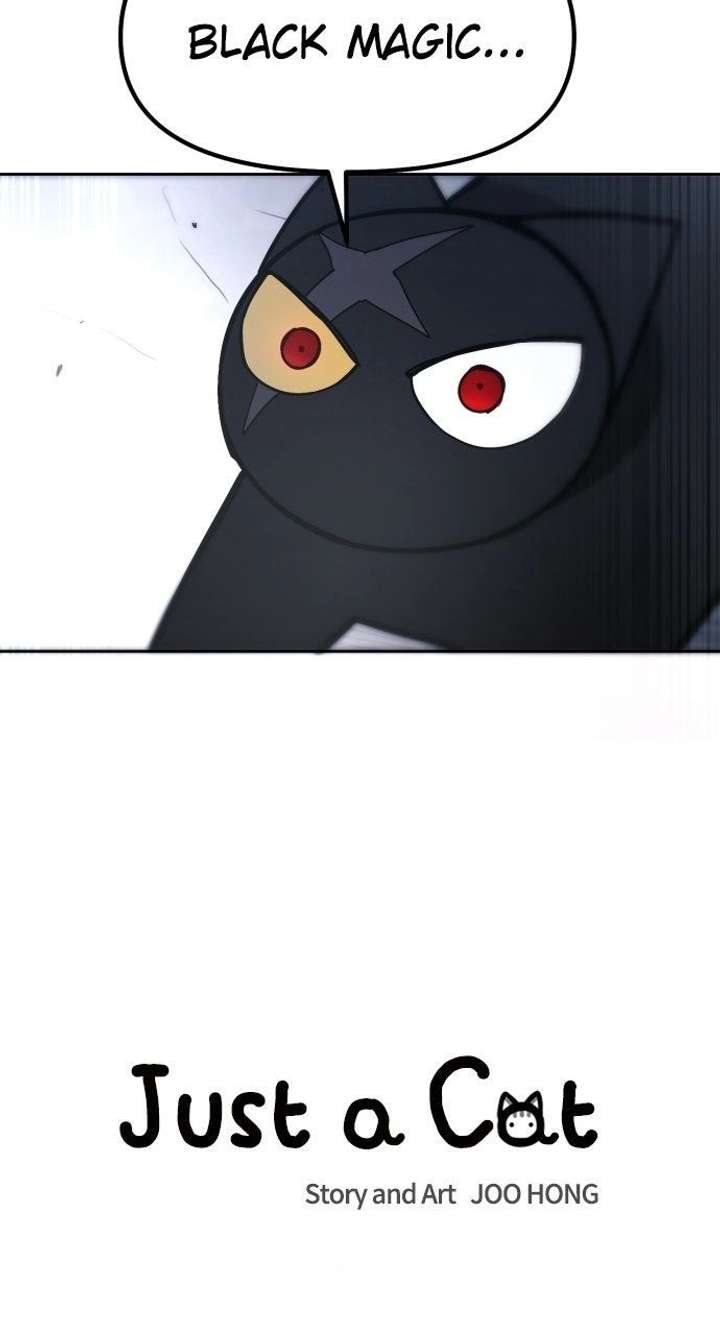 ch 51 11