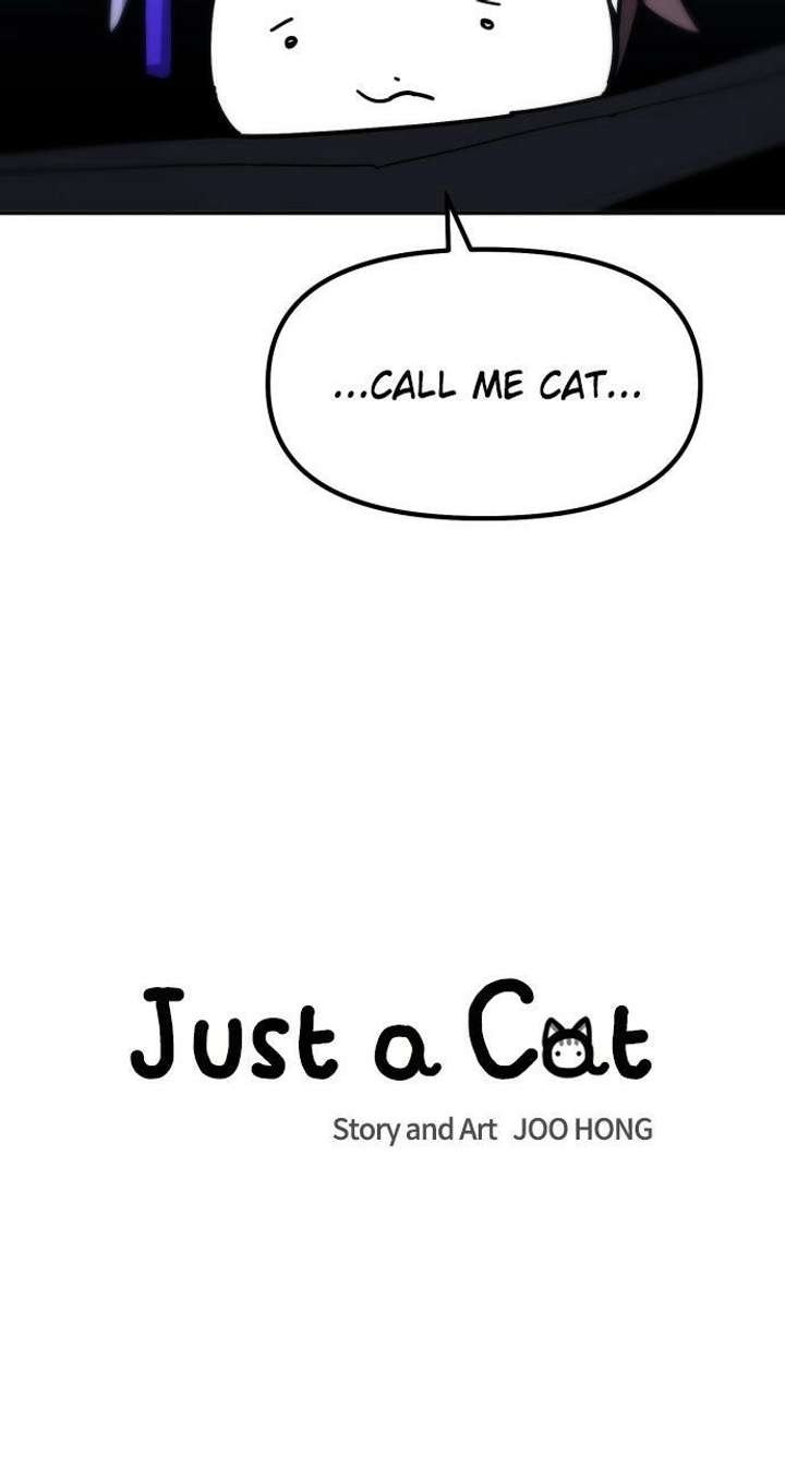 ch 54 36