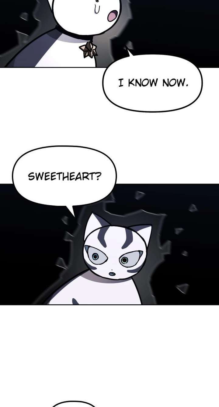 ch 60 40