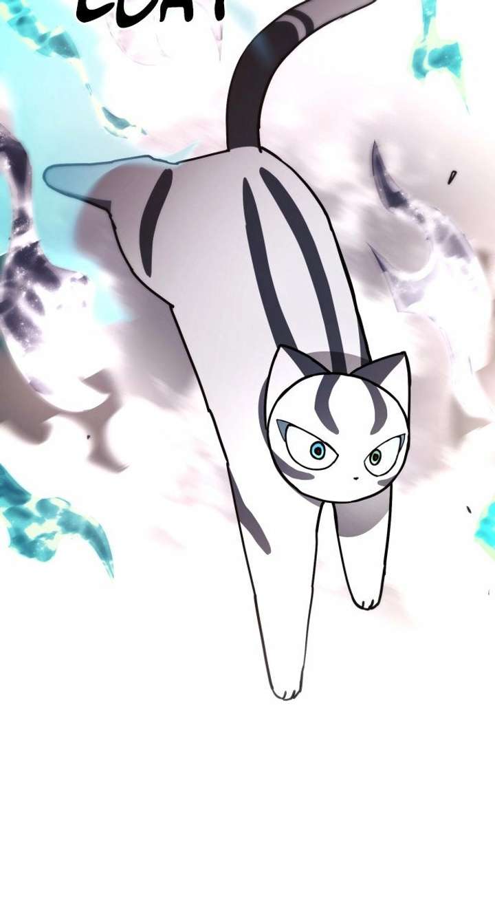 ch 61 4