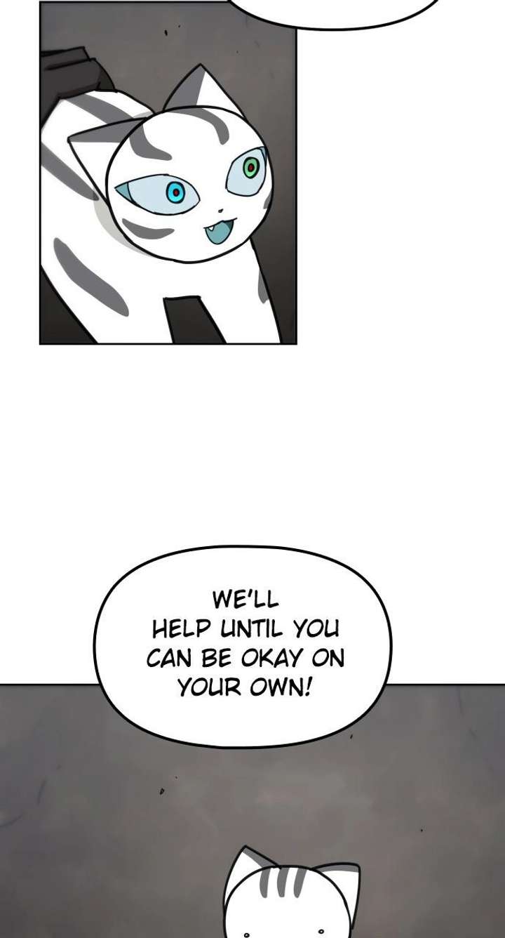 ch 61 52