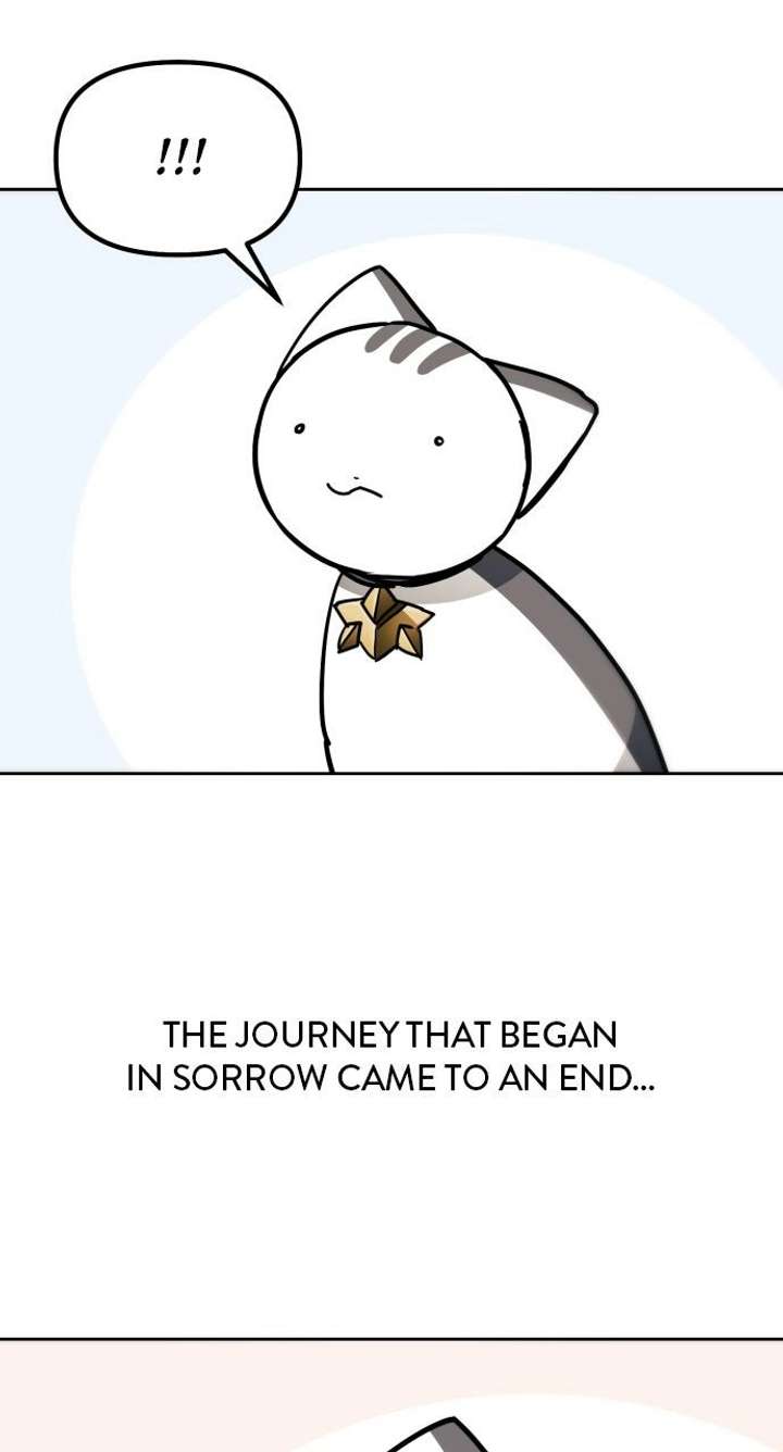 ch 61 62