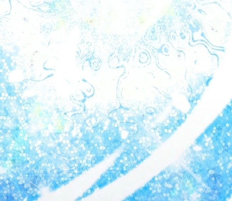 SSS-Grade Cafe in Front of The Dungeon Chapter 34 484 060