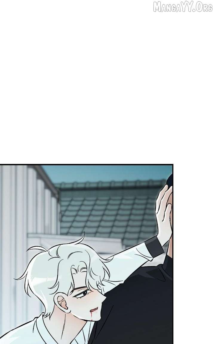 ch 33 7