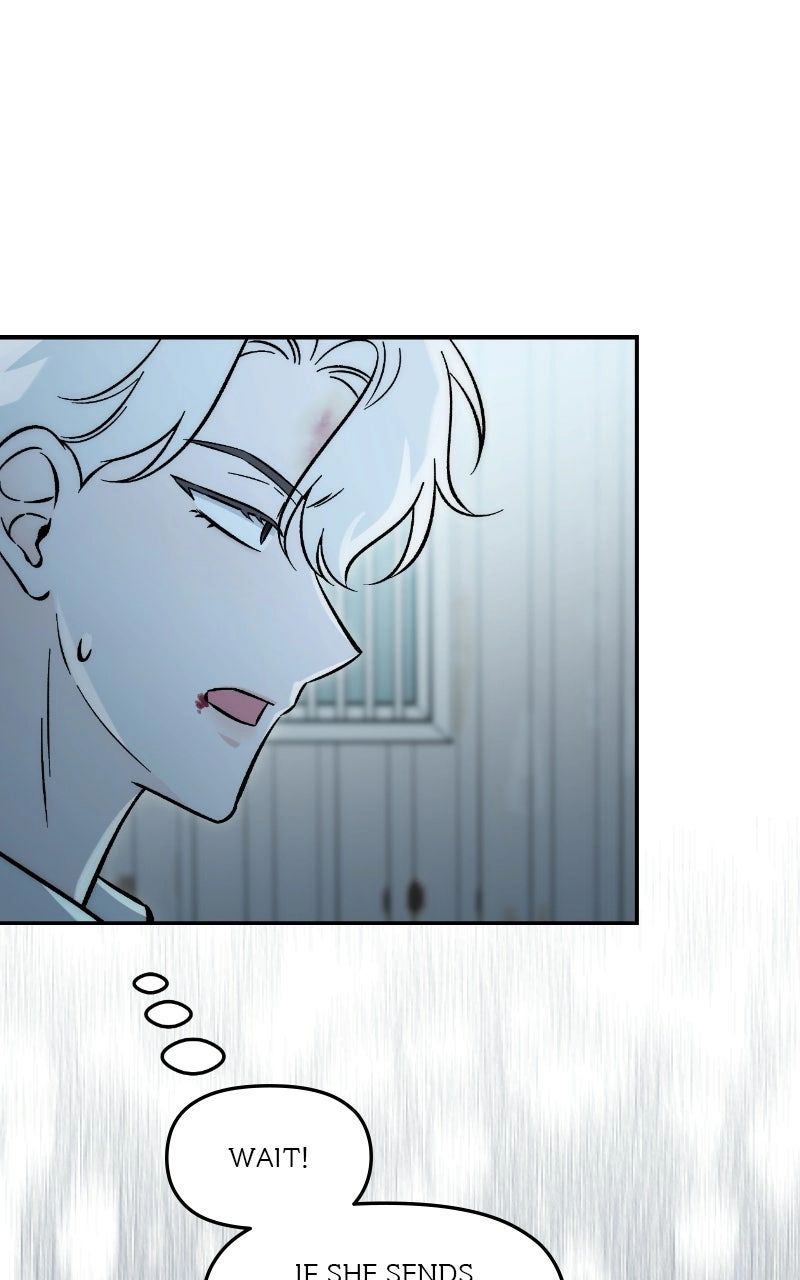 ch 34 15