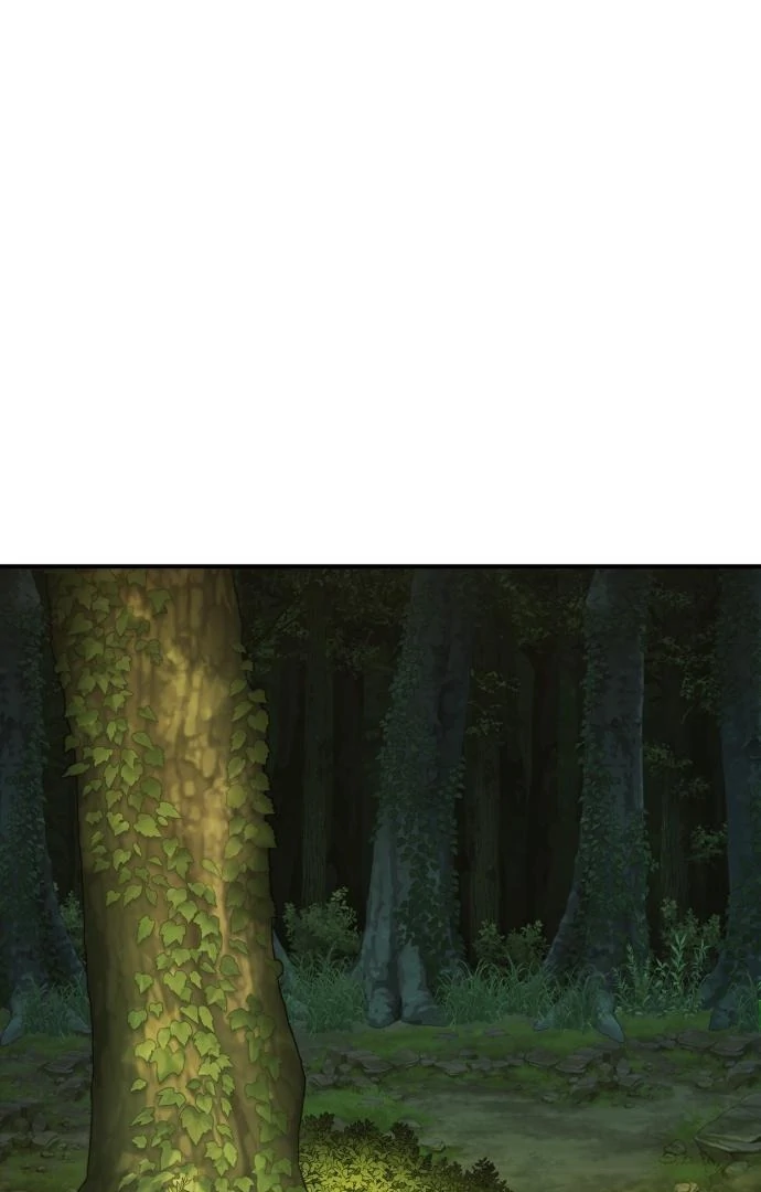 ch 12 13