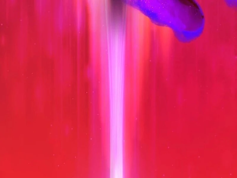 ch 19 194