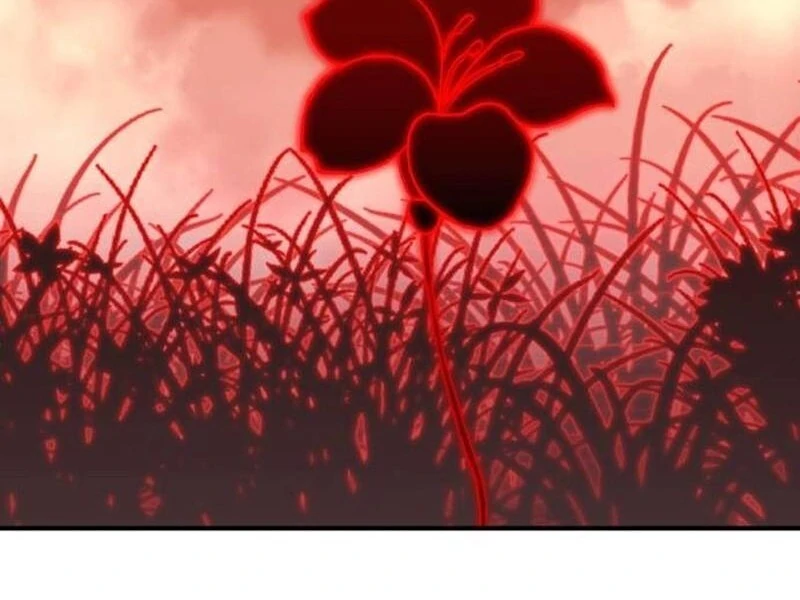 080