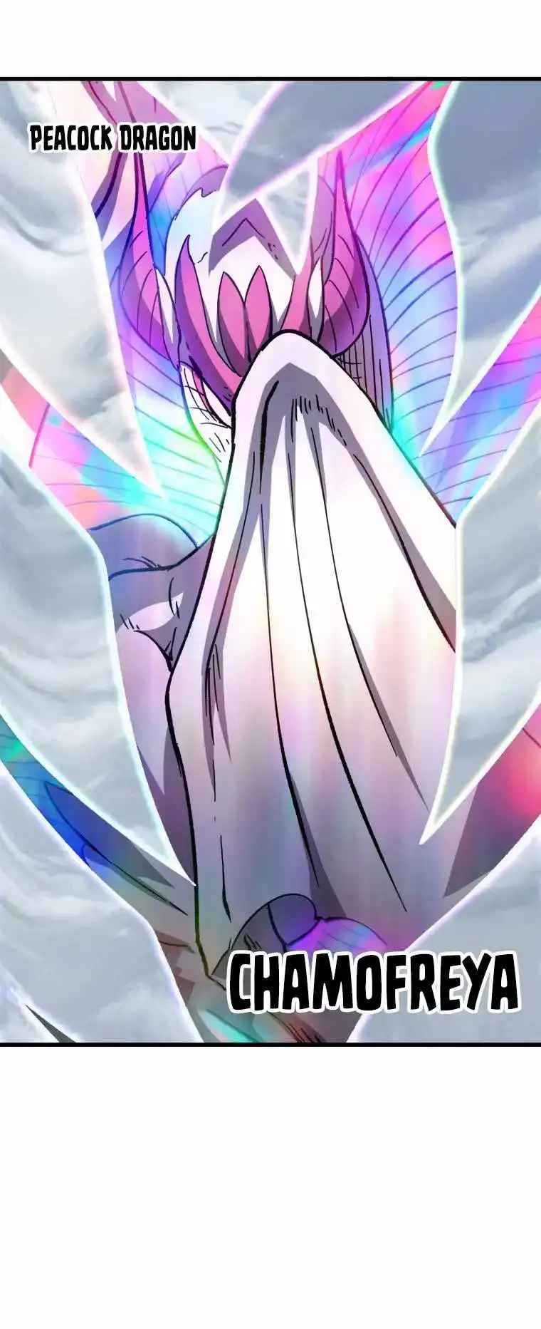 ch 161 28