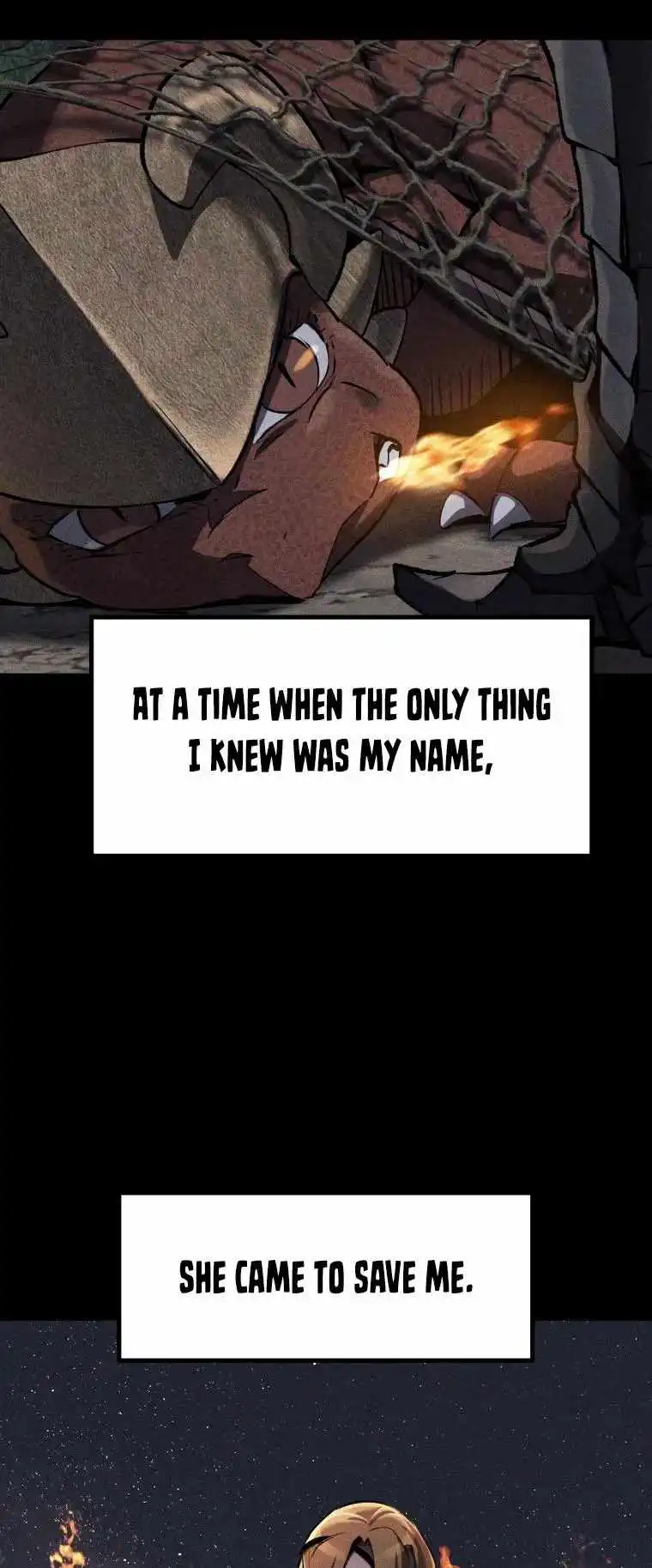 ch 161 3