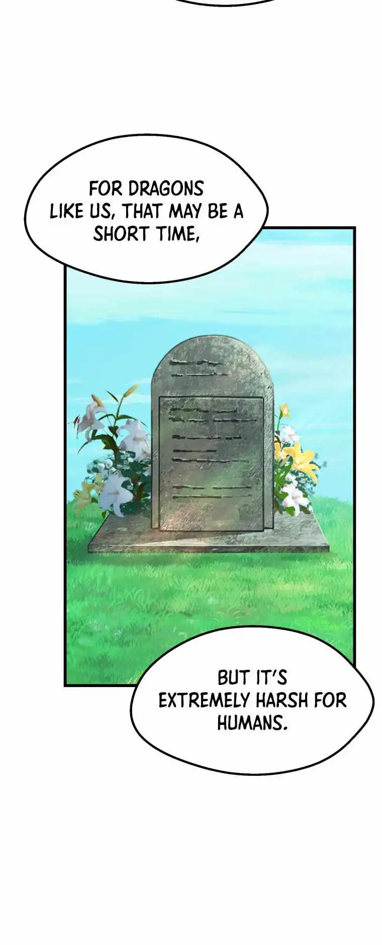 ch 163 16