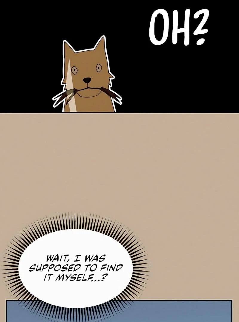 ch 1 51