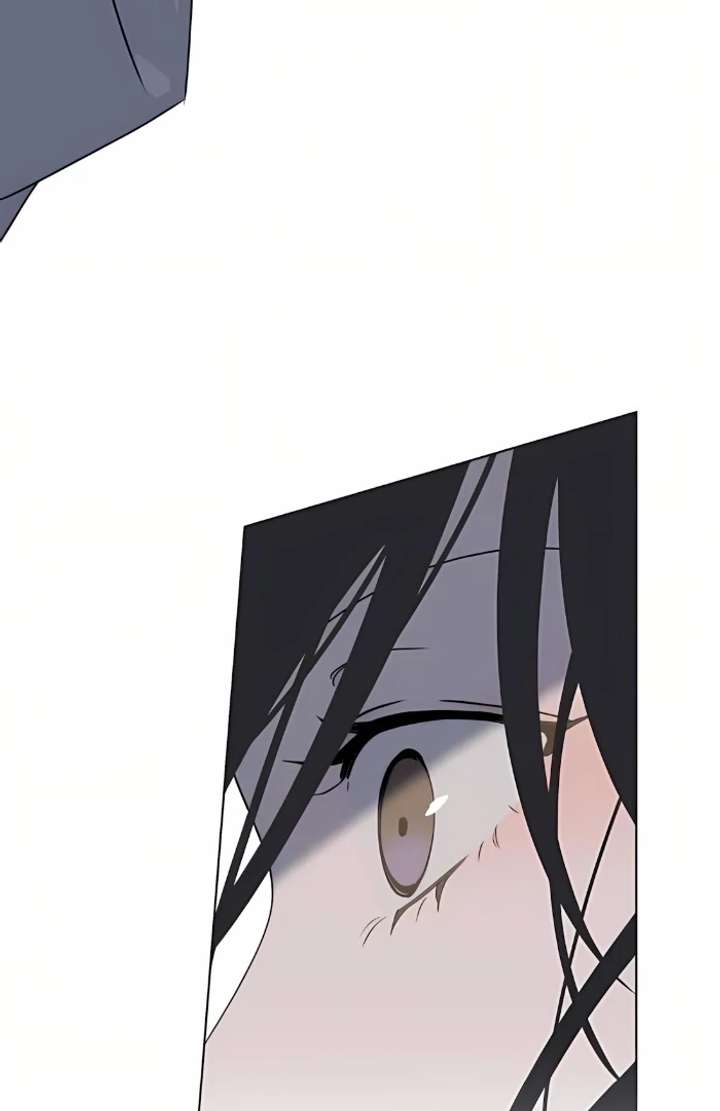 81